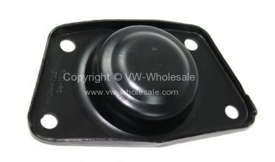Torsion bar cover plate with Swing axle 2 needed - OEM PART NO: 113511227A