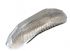 German quality Hella front indicator lens Clear - OEM PART NO: 311953161F