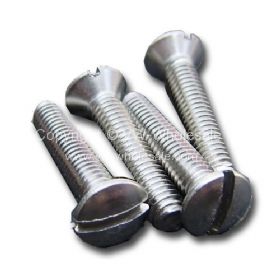 German quality stainless fixing screw - OEM PART NO: N291099