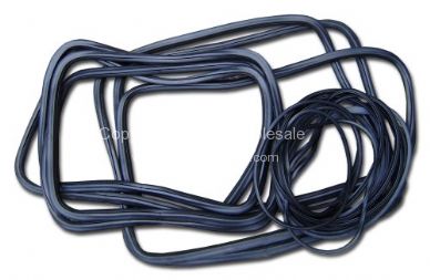 German quality window seal kit for standard bus - OEM PART NO: 211898721GER